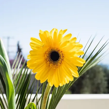 Ferienhaus R&c Corfiot House Achílleion